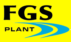 FGS Plant