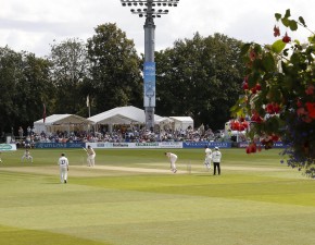 171st Canterbury Cricket Week: All you need to know