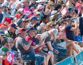 Temporary seating arrangements for upcoming T20 matches