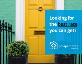 Prospect Tree Mortgages –  Are you looking for the best rate you can get?