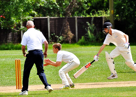 Area Cricket