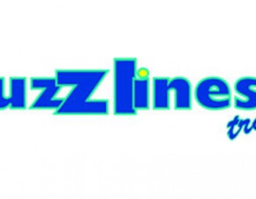 On the Buses with Buzzlines Travel