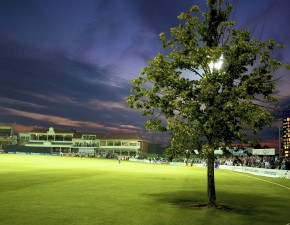 Kent Cricket’s Lime Tree Legend