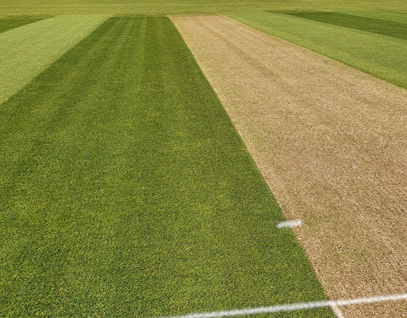Cricket square showing one prepared wicket adjacent to lush green unprepared wickets.