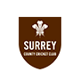 Surrey Second XI